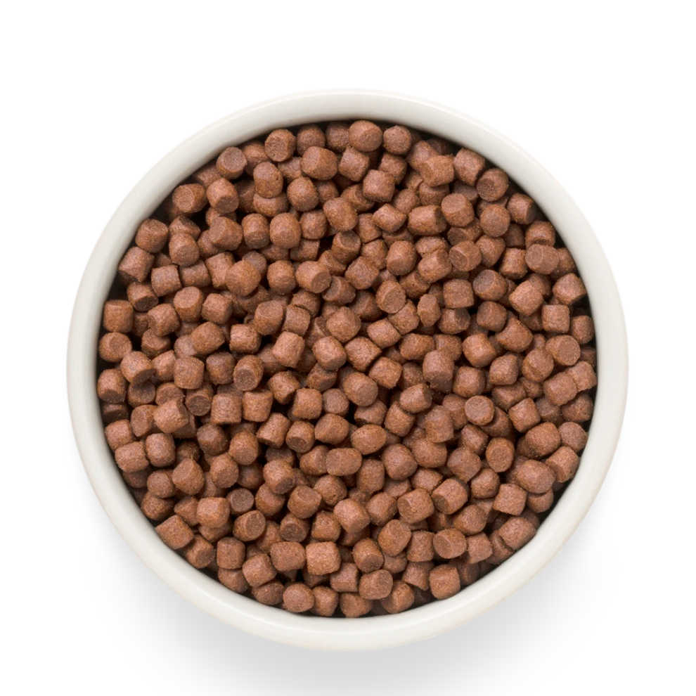 Hrana uscata pentru câini Grandorf, Carne proaspata de rata cu cartof dulce, pentru rase mici