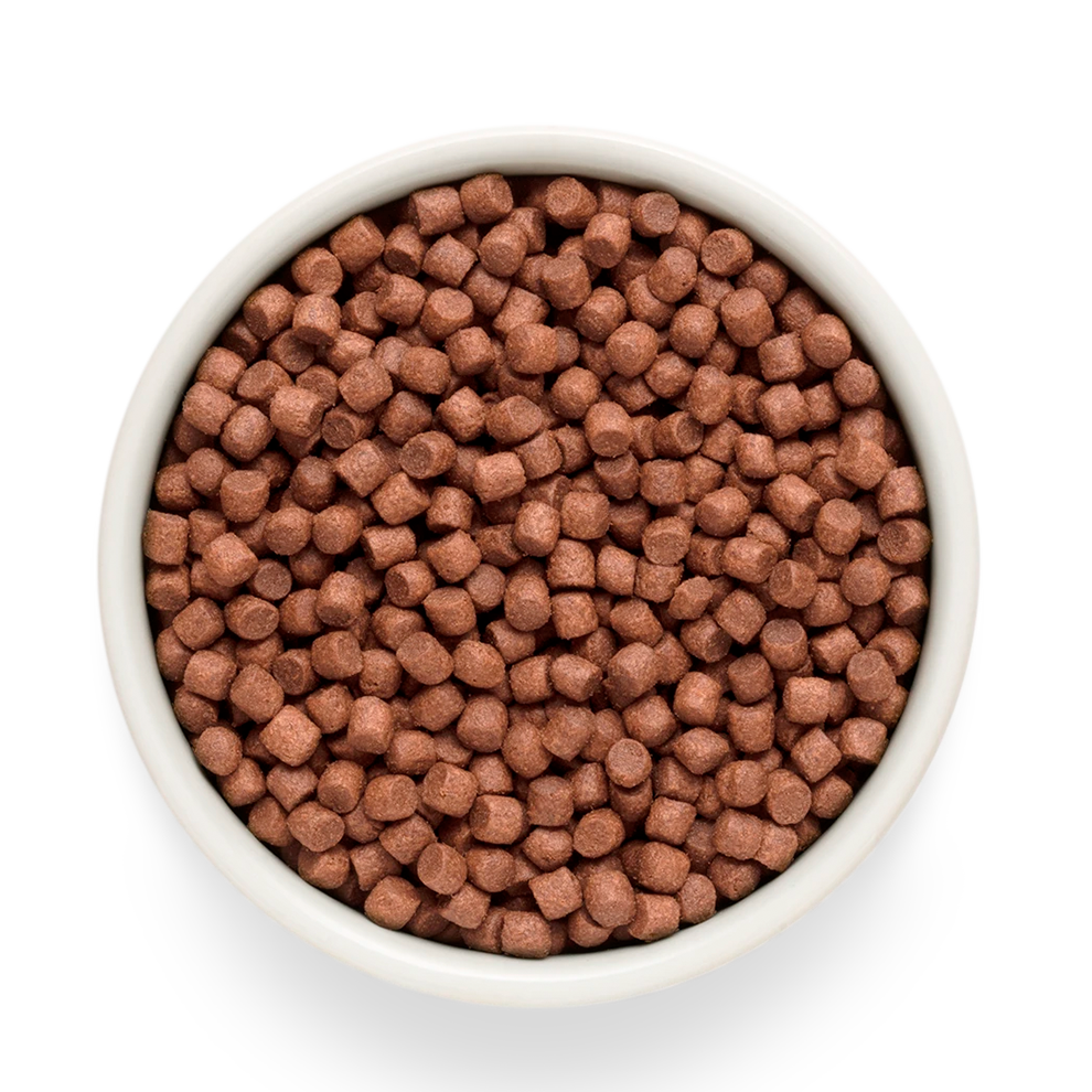 Hrana uscata pentru câini Grandorf, Carne proaspata de miel cu cartof dulce, pentru rase mici