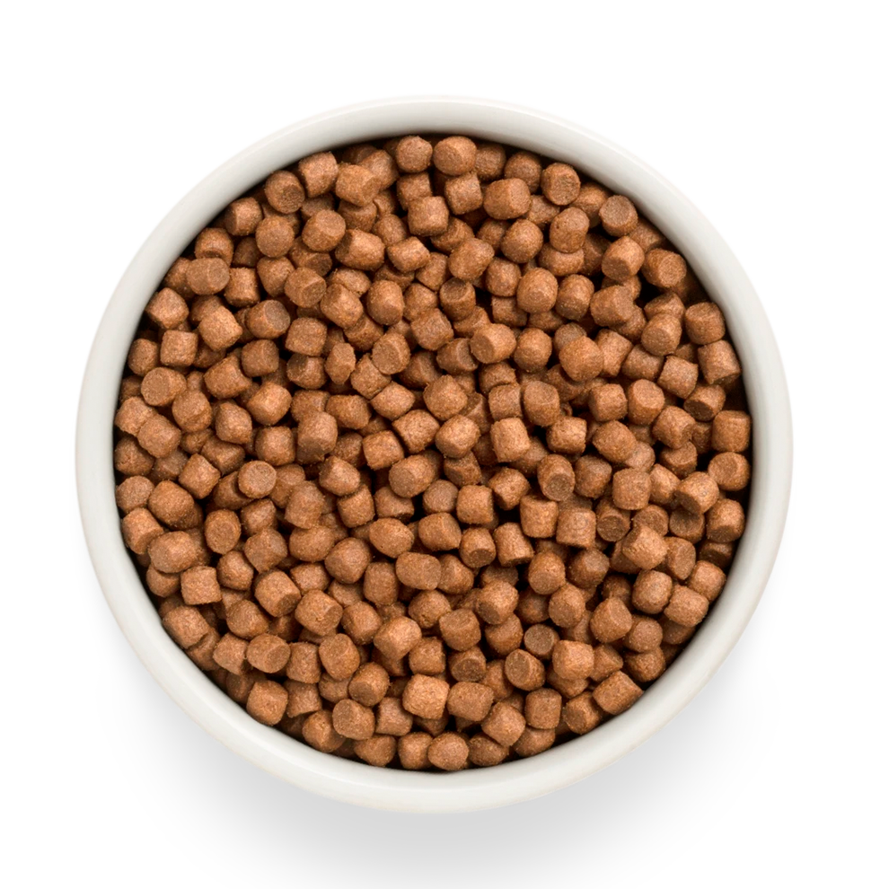 Hrana uscata pentru catei Grandorf, Carne proaspata de miel cu cartof dulce, pentru catei