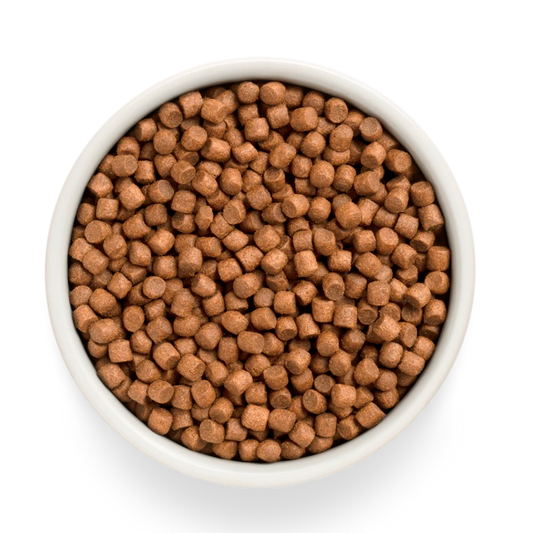 Hrana uscata pentru catei Grandorf, Carne proaspata de miel cu cartof dulce, pentru catei