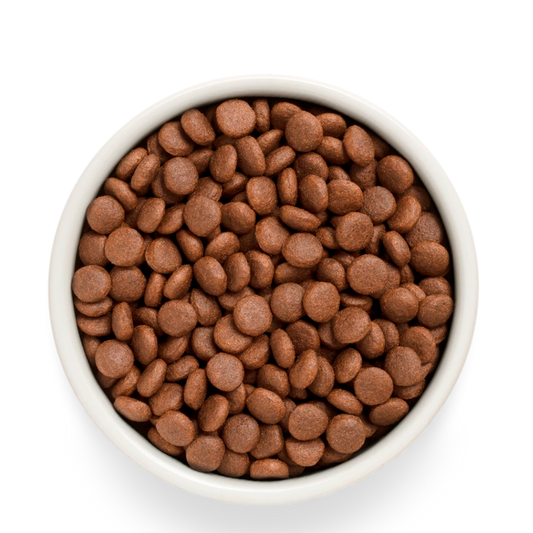 Hrana uscata pentru câini Grandorf, File de somon proaspat cu cartof dulce, pentru rase medii si mari