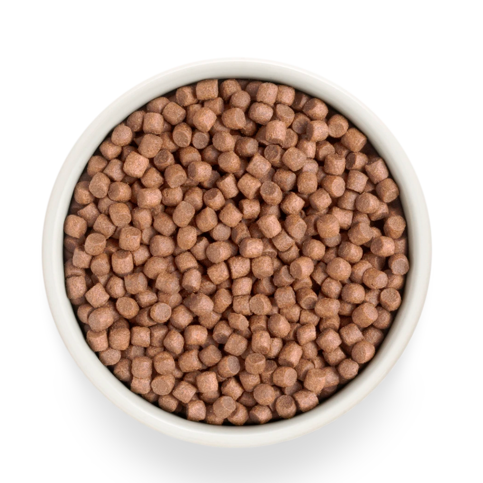 Hrana uscata pentru câini Grandorf, Carne proaspata de curcan cu cartof dulce, pentru rase mici