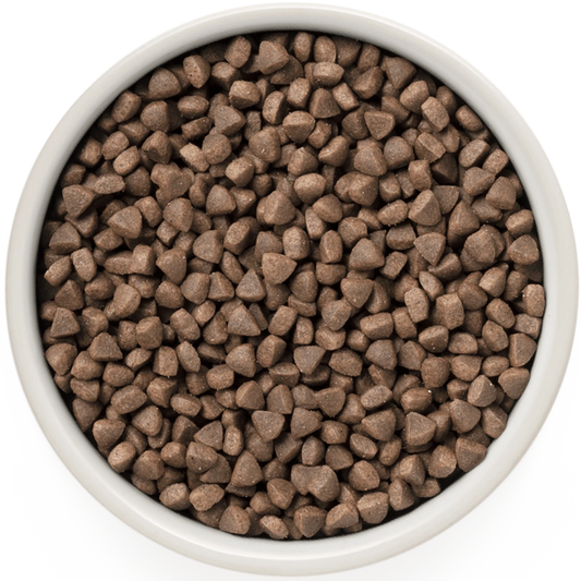 Hrana uscata pentru pisici Grandorf, cu Iepure & Curcan, pentru Pisici Adulti Sterilizate