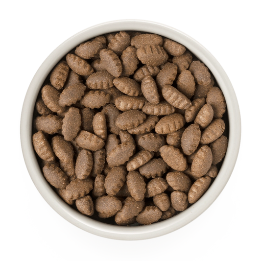 Hrana uscata pentru câini Grandorf, Curcan, pentru rase mari