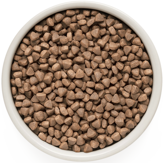 Hrana uscata pentru pisici Grandorf, cu Peste Alb, pentru Pisici Adulti Indoor, Skin & Care