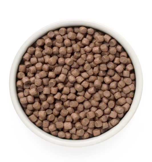 Hrana uscata pentru câini WHITE FISH, pentru câini adulti de rase mini