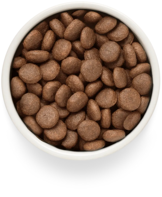 Hrana uscata pentru câini Grandorf, File de somon proaspăt cu cartof dulce, pentru rase mari