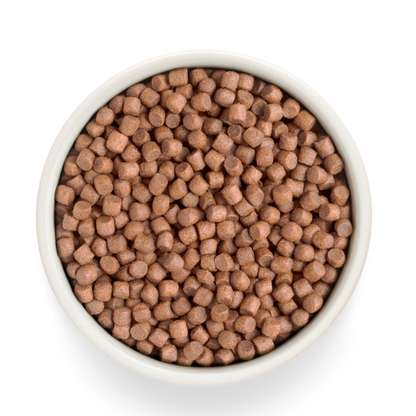Hrana uscata pentru câini Grandorf, Carne proaspata de curcan cu cartof dulce, pentru rase mici